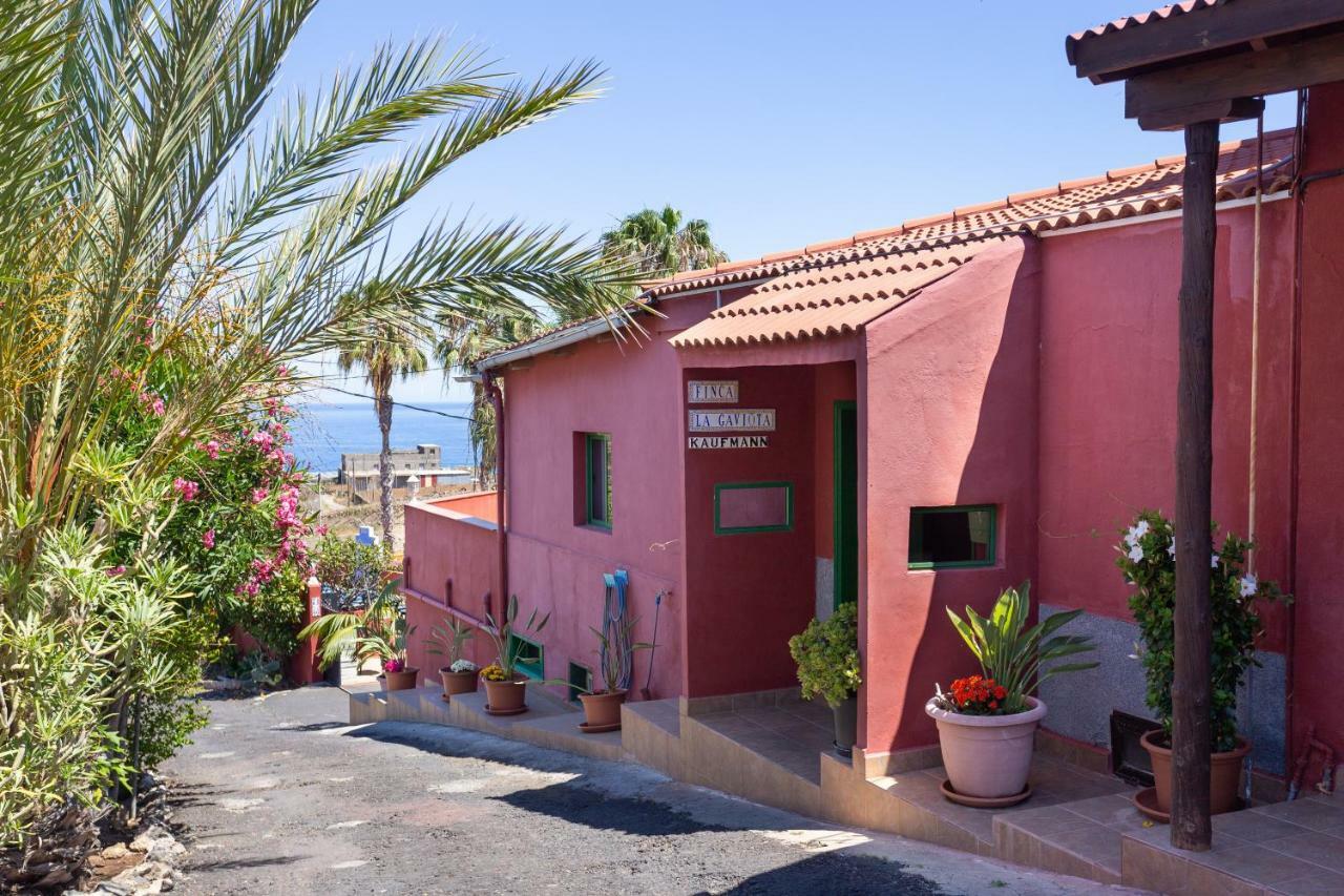 Finca La Gaviota - Los Limoneros Икод-де-лос-Винос Экстерьер фото